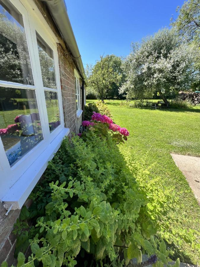 Adorable Two Bed Norfolk Broads Holiday Home - River Views With Moorings & Fishing Stalham Exterior foto